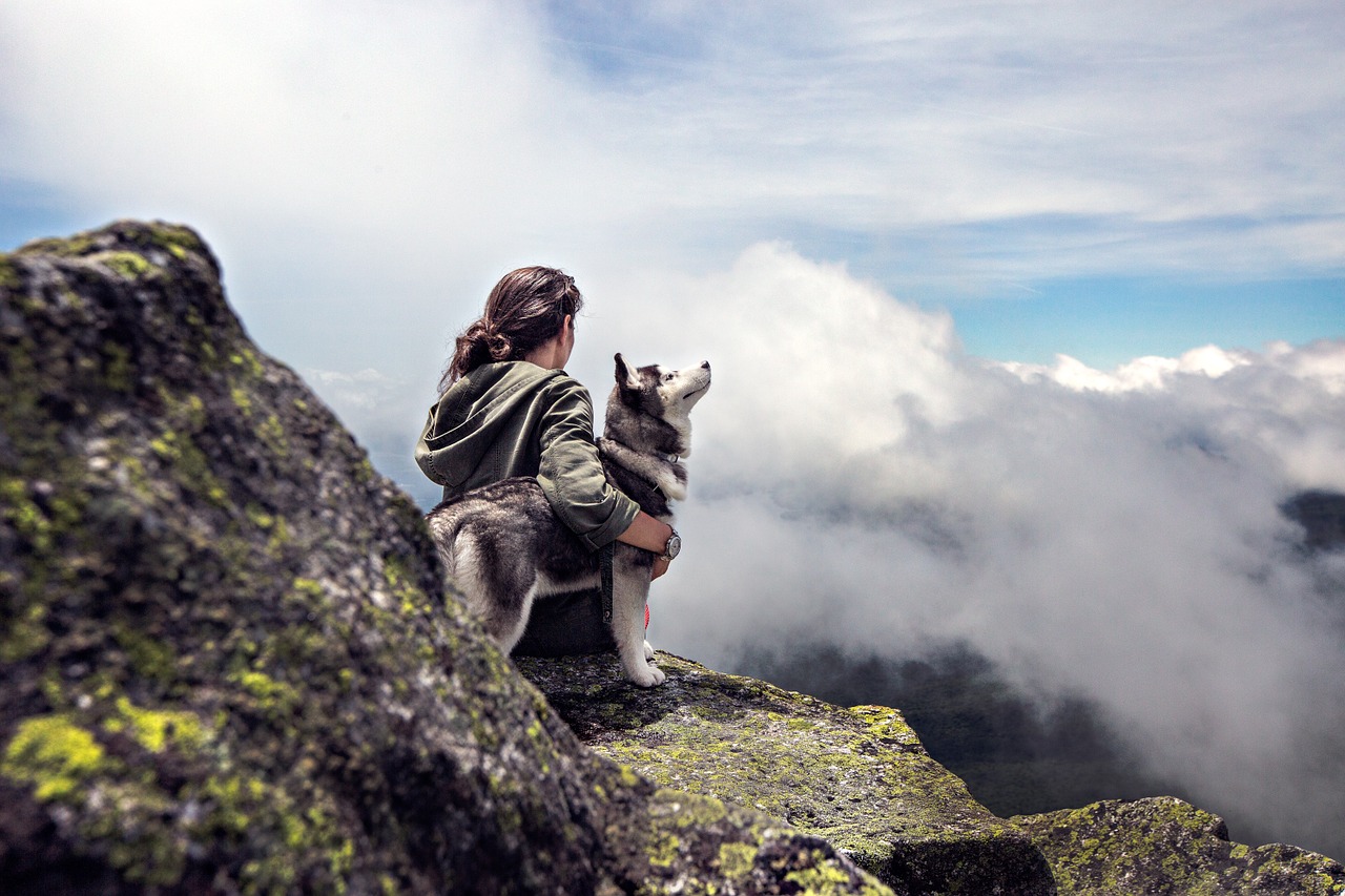 Le husky est assis en haut de la montagne avec son maître. Pour les chiens de cette race, beaucoup d'exercice et d'efforts sont indispensables.